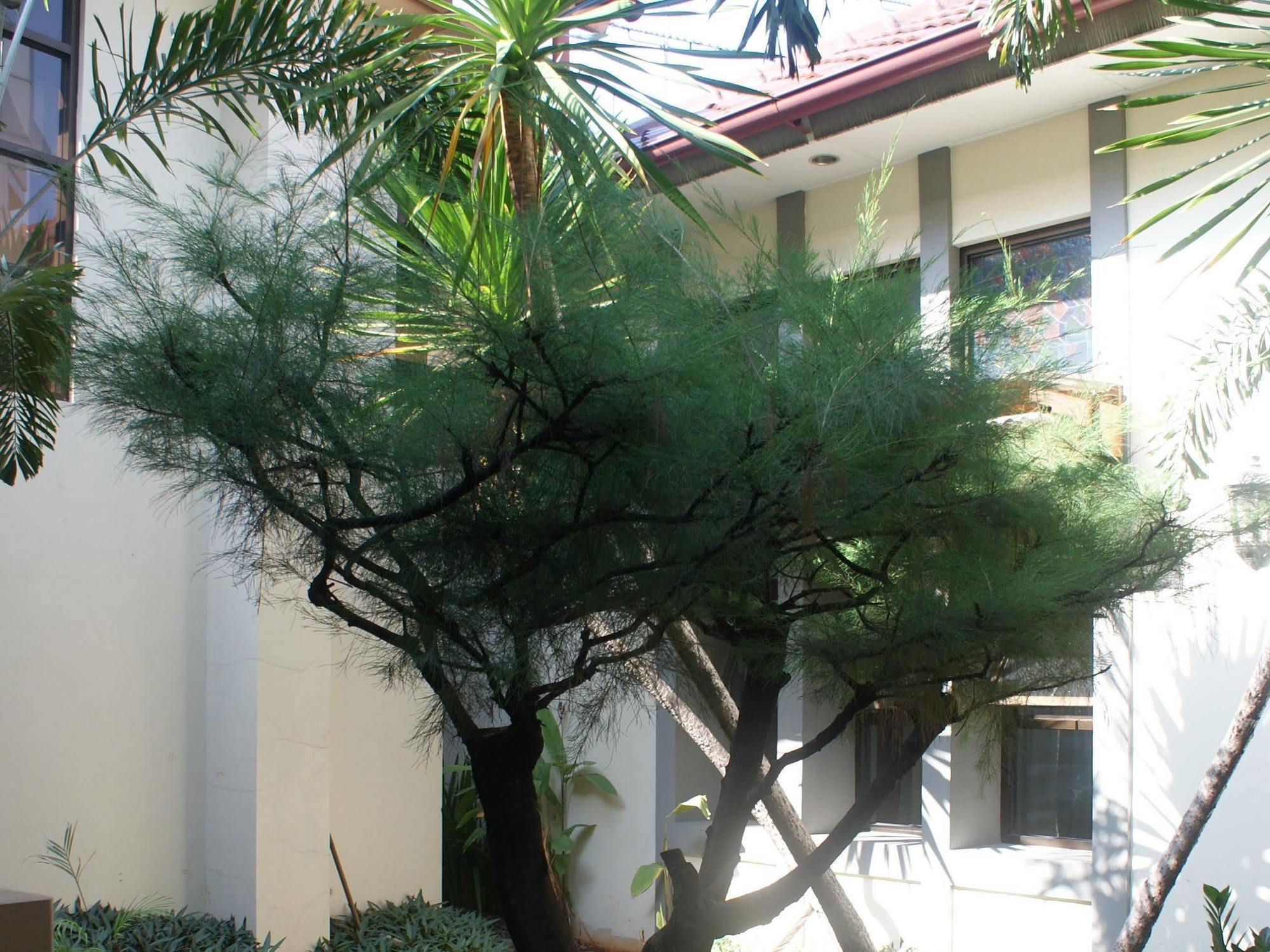 Sofyan Hotel Soepomo Cakarta Dış mekan fotoğraf